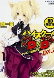 High School DxD Born OVA streaming